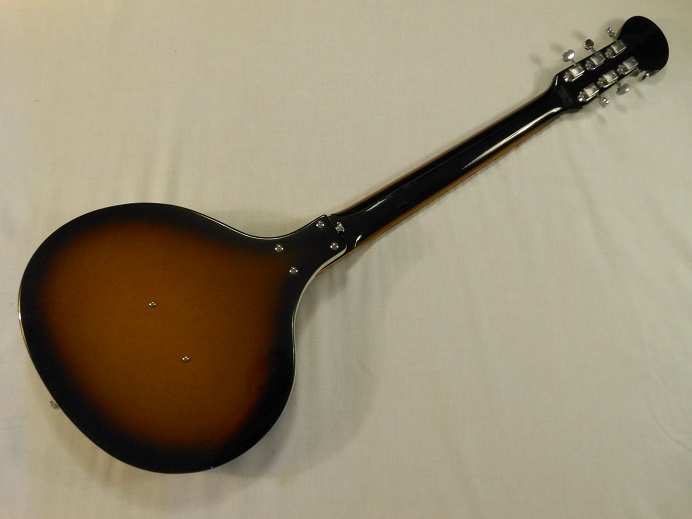Baby Sitar Picture 2